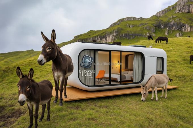 Maison de conteneurs modernes de luxe de 20 pieds Petite résidence Structure en acier préfabriquée Pour les hôtels Villas espace d'appartement 5